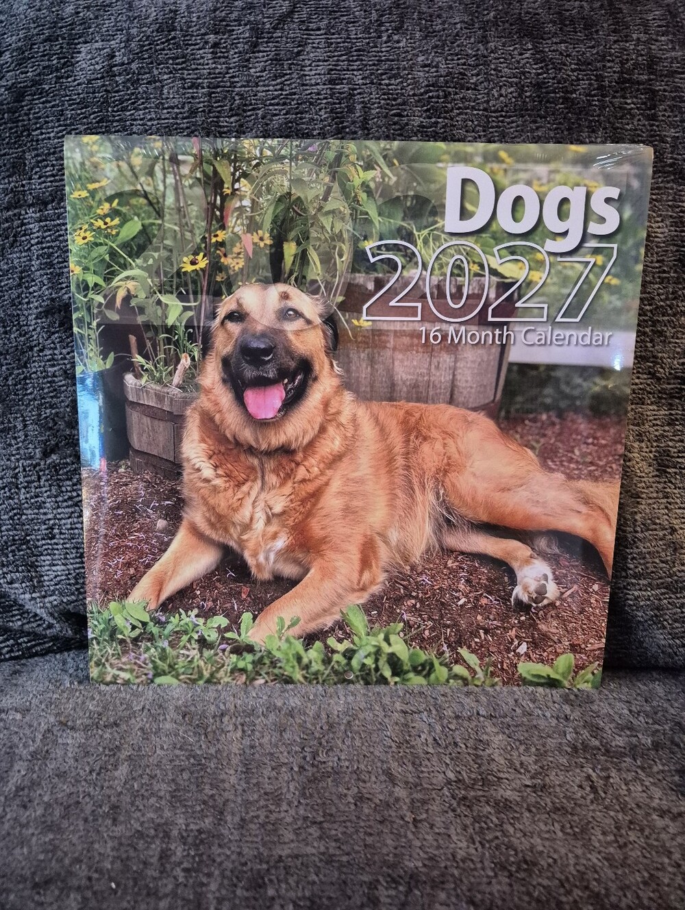 2027 Dogs Calendar